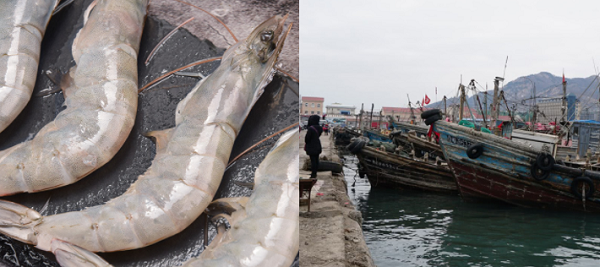 建造一個海鮮冷庫多少錢?